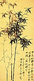 东京热成人免费：揭秘数字天堂：揭秘东京热，解锁免费成人娱乐新境界-4
