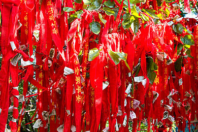葫芦娃不卖药千万影片你需要：经典重现，奇幻征程，探秘葫芦兄弟手游奇境-2