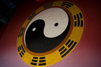 99re久热只有精品6的特点和优势：揭秘＂99re久热只有精品6＂：个性化推荐，打造优质阅读新体验平台-1