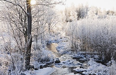 水蜜桃爱如潮水：恋爱模拟游戏新潮流，＂水蜜桃爱意＂带你领略甜蜜童话世界-4