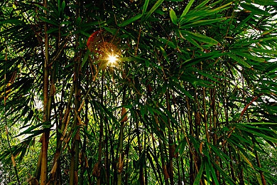 坤坤放在老师的问号里免费：谜题之海中的免费宝藏：揭秘互动游戏的新潮流-5