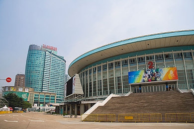 空姐2019满天星法版：星辉照耀下的职业光芒：云端天使：优雅空姐之旅-1