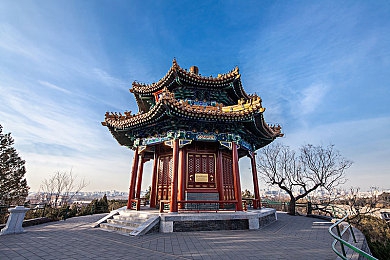 简隋英自己扩充骑马：知名骑手简隋英投资扩充骑马队伍，助力马术运动发展，展现热爱与执着-3