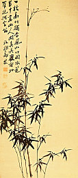 暴躁妹妹csgo：电竞新星“暴躁妹妹”崛起：直率风格引领文化新潮流-4
