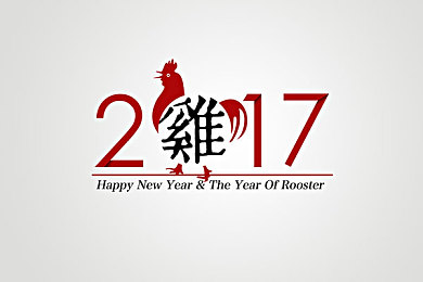 欧美从厨房xXxXXX：味蕾冒险：厨房传奇，经营之道，美食盛宴-3
