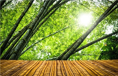 美女露出奶头的软件：涉嫌色情传播，网络低俗软件引发社会关注：携手抵制，守护青少年健康成长-4