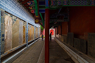 铜铜铜铜铜铜好大免费安装：奇趣铜铜，畅玩无界，免费体验，乐享休闲新篇章-3