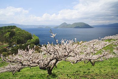 第一视角进入胃中：“科技飞跃引领医学革新：微型内窥镜技术开启人体探索新时代，胃部奥秘一窥究竟，前景广阔引发热议”-5