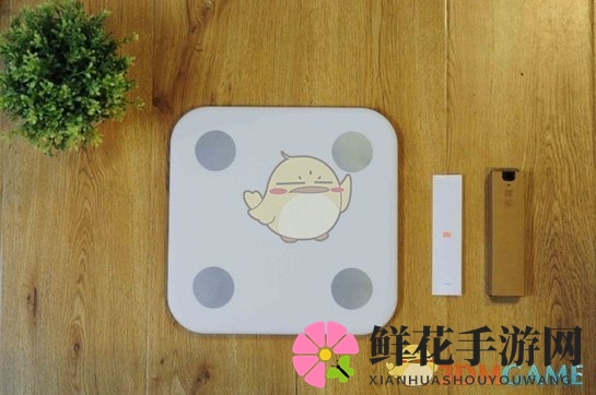 《小米体脂秤》相关评测