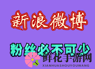 新浪微博增粉攻略，掌握这些技巧轻松涨粉