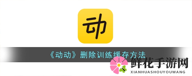 《动动》删除训练缓存方法