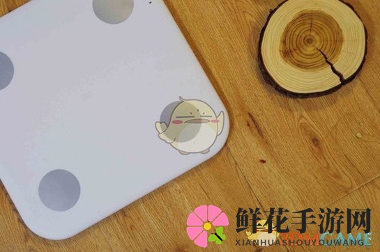 《小米体脂秤》相关评测
