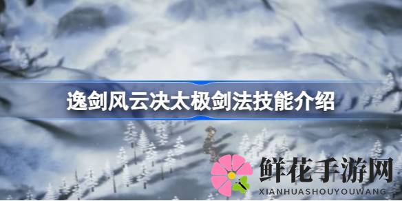 太极剑法揭秘：逸剑风云决中的神秘武学大揭秘