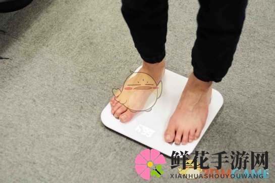 《小米体脂秤》相关评测