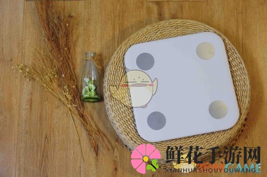 《小米体脂秤》相关评测