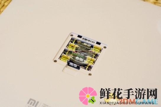 《小米体脂秤》相关评测