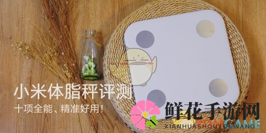 《小米体脂秤》相关评测