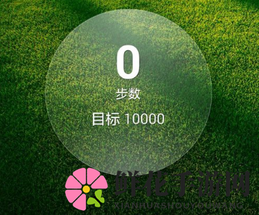 《华为运动健康》使用指南