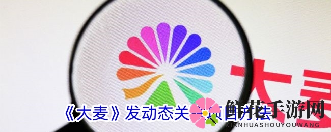 大麦平台：轻松发布动态，畅享娱乐互动