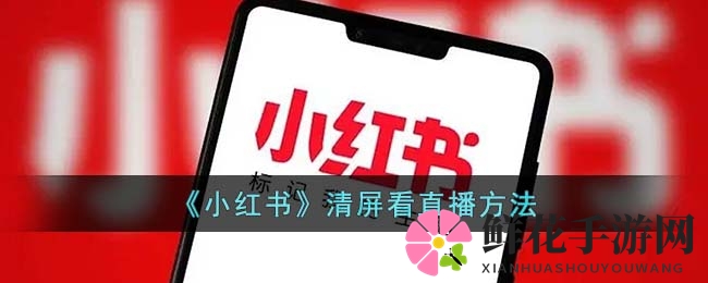 《小红书》清屏看直播方法