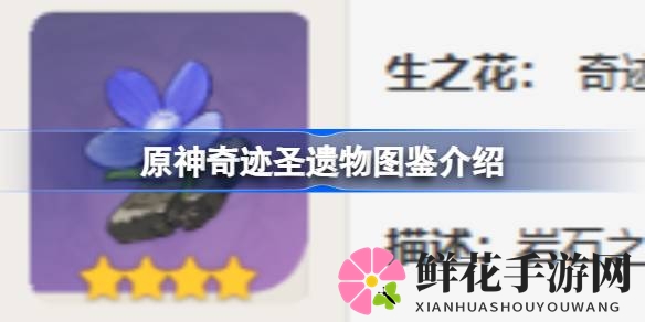 奇迹圣遗物揭秘：探寻生命奇迹，探寻元素奥秘