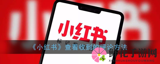 小红书攻略：轻松追踪互动评论，解锁互动新技能