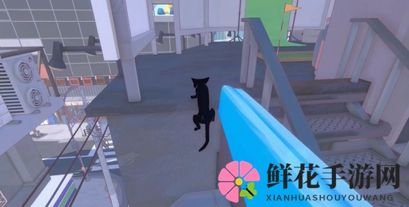 《小猫咪大城市》4只橡皮鸭位置介绍