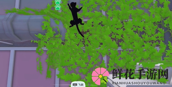 《小猫咪大城市》4只橡皮鸭位置介绍